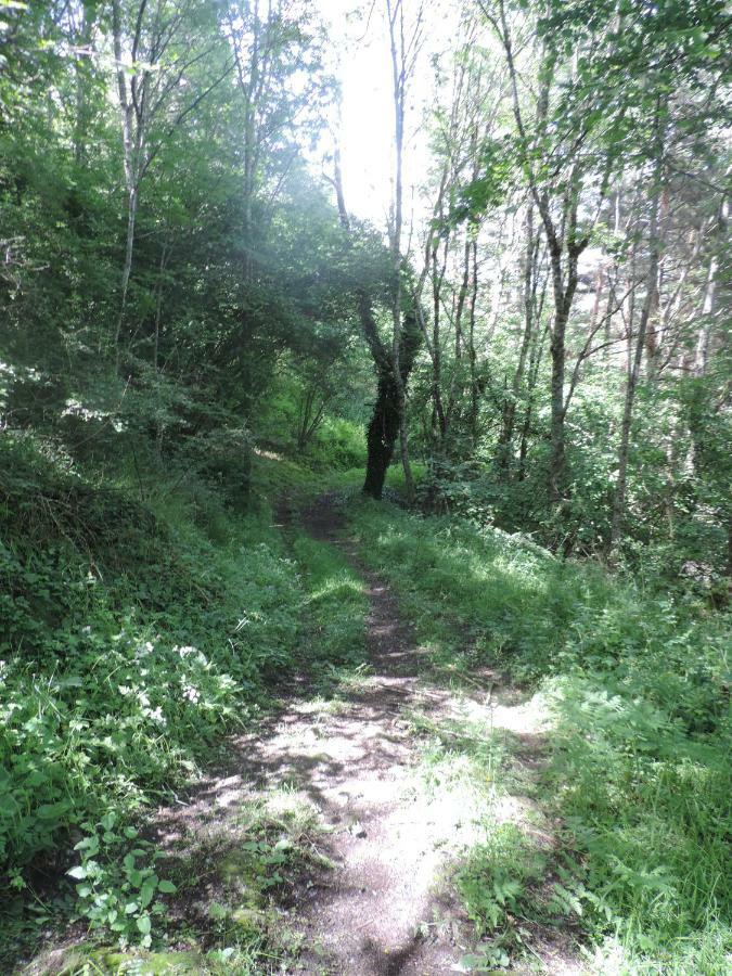 Se Reconnecter A La Nature Au Gite 3 Etoiles De Montager A Saint Andre De Chalencon Exterior foto